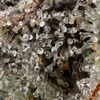 Gelato 33, Фасовка: 5, изображение 3